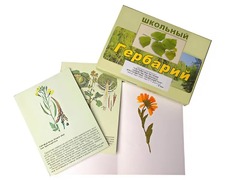 Гербарий "Систематика растений. Семейство Пасленовые. Крестоцветные. Сложноцветные" (раздаточный) - fgospostavki.ru - Рыбинск