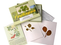 Гербарий "Систематика растений. Семейство Розоцветные" (раздаточный) - fgospostavki.ru - Рыбинск