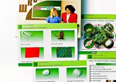 Коллекция "Шелк и продукты его переработки" (средняя школа) - fgospostavki.ru - Рыбинск