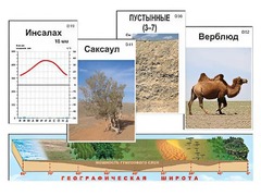 Модель-аппликация "Природные зоны" - fgospostavki.ru - Рыбинск