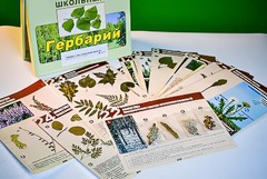 Гербарий к курсу основ общей биологии - fgospostavki.ru - Рыбинск