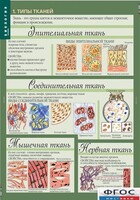 Комплект таблиц. Биология 8-9 класс. Человек. - fgospostavki.ru - Рыбинск