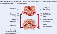 Интерактивные курсы. Биология 9 класс. Расширенный. - fgospostavki.ru - Рыбинск