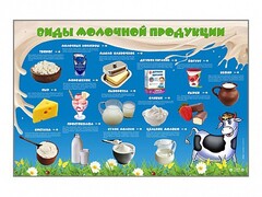 Электрифицированный стенд "Виды молочной продукции" - fgospostavki.ru - Рыбинск