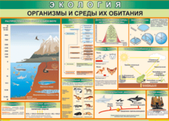 Таблица "Организмы и среды их обитания" (100х140 сантиметров, винил) - fgospostavki.ru - Рыбинск