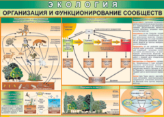 Таблица "Организация и функционирование сообществ" (100х140 сантиметров, винил) - fgospostavki.ru - Рыбинск