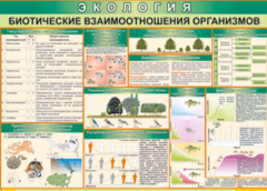 Таблица "Биотические взаимоотношения организмов" (100х140 сантиметров, винил) - fgospostavki.ru - Рыбинск