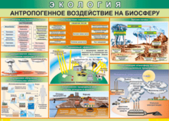 Таблица "Антропогенное воздействие на биосферу" (100х140 сантиметров, винил) - fgospostavki.ru - Рыбинск