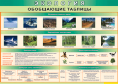 Таблица "Экология. Обобщающие таблицы" (100х140 сантиметров, винил) - fgospostavki.ru - Рыбинск