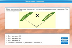 Интерактивные курсы. Биология 11 класс. Базовый. - fgospostavki.ru - Рыбинск