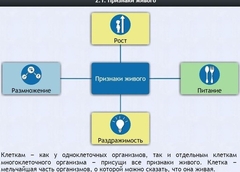 Интерактивные курсы. Биология 5 класс. Базовый - fgospostavki.ru - Рыбинск