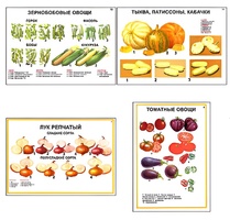 Плакаты ПРОФТЕХ "Ассортимент овощных культур" (12 пл, винил, 70х100) - fgospostavki.ru - Рыбинск