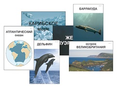 Модель-аппликация "Океаны. Знакомство" (ламинированная) - fgospostavki.ru - Рыбинск