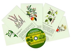 Интерактивный наглядный комплекс "Гербарий "Для начальной школы" - fgospostavki.ru - Рыбинск