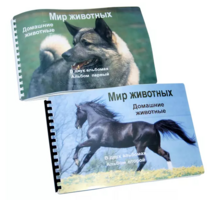 Пособие для слабовидящих - Домашние животные - fgospostavki.ru - Рыбинск