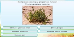 Интерактивные курсы. Окружающий мир 3 класс . Базовый. - fgospostavki.ru - Рыбинск