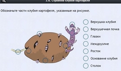 Интерактивные курсы. Биология 6 класс. Расширенный - fgospostavki.ru - Рыбинск