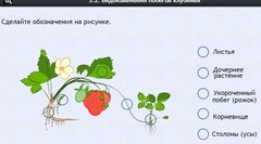 Интерактивные курсы. Биология 7 класс. Расширенный. - fgospostavki.ru - Рыбинск