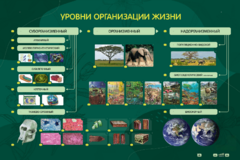 Электрифицированный стенд "Уровни организации жизни" - fgospostavki.ru - Рыбинск
