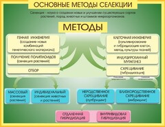 Стенд "Методы селекции и биотехнологии" - fgospostavki.ru - Рыбинск