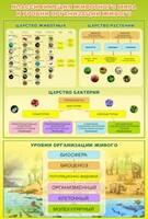 Стенд "Классификация животного мира" - fgospostavki.ru - Рыбинск