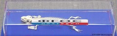 Скелет ящерицы - fgospostavki.ru - Рыбинск