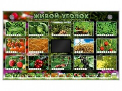 Комплект оборудования "Живой уголок" (растения) - fgospostavki.ru - Рыбинск