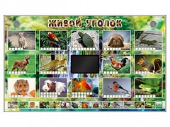 Комплект оборудования "Живой уголок" (животные) - fgospostavki.ru - Рыбинск