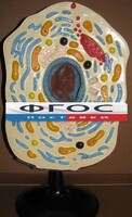 Модель "Клетка животного" - fgospostavki.ru - Рыбинск
