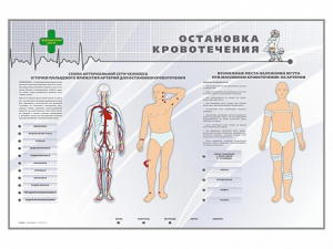 Электрифицированный стенд "Остановка кровотечения" - fgospostavki.ru - Рыбинск