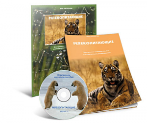 Электронное наглядное пособие «Млекопитающие» - fgospostavki.ru - Рыбинск