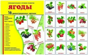 Демонстрационные карточки "Ягоды" - fgospostavki.ru - Рыбинск