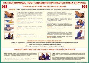 Таблица "Порядок действий при внезапной смерти" (100х140 сантиметров, винил) - fgospostavki.ru - Рыбинск