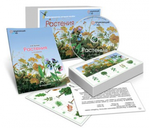 Комбинированное наглядное пособие «Растения» - fgospostavki.ru - Рыбинск