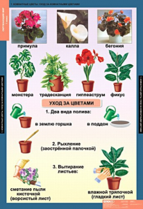 Комплект таблиц. Окружающий мир 1 класс. - fgospostavki.ru - Рыбинск