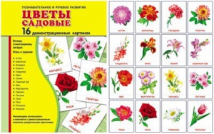 Демонстрационные карточки "Цветы садовые" - fgospostavki.ru - Рыбинск