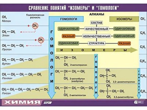 Таблица демонстрационная "Сравнение понятий изомер и гомолог" (винил 70x100) - fgospostavki.ru - Рыбинск