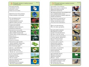 Комплект карточек (10) "Обучающий калейдоскоп. Природа" - fgospostavki.ru - Рыбинск