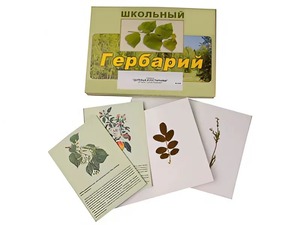 Гербарий "Деревья и кустарники" (22 вида, с иллюстрациями) - fgospostavki.ru - Рыбинск
