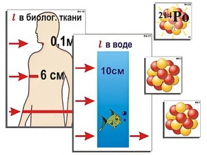 Модель-аппликация "Явление радиоактивности" (ламинированная) - fgospostavki.ru - Рыбинск