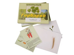 Гербарий "Культурные растения" (30 видов, с иллюстрациями) - fgospostavki.ru - Рыбинск