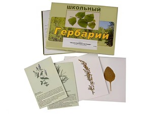 Гербарий "Лекарственные растения" (22 вида с иллюстрациями) - fgospostavki.ru - Рыбинск