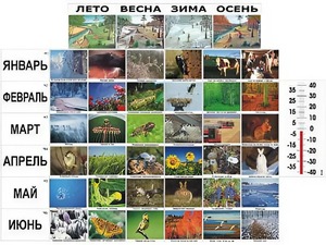 Фенологические наблюдения - fgospostavki.ru - Рыбинск
