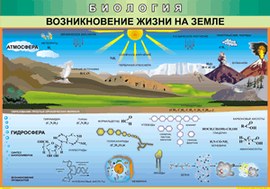 Таблица "Возникновение жизни на земле" (100х140 сантиметров, винил) - fgospostavki.ru - Рыбинск