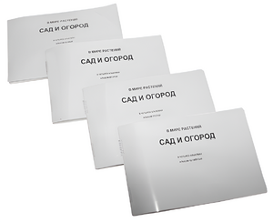 Пособие для слабовидящих - В мире растений: сад и огород - fgospostavki.ru - Рыбинск
