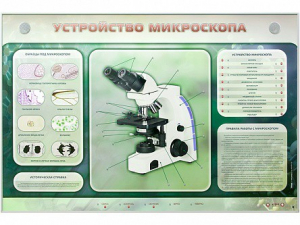 Электрифицированный стенд "Устройство микроскопа и правила работы c ним" - fgospostavki.ru - Рыбинск