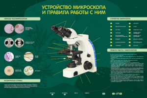 Электрифицированный стенд "Устройство микроскопа и правила работы c ним" - fgospostavki.ru - Рыбинск