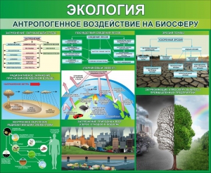 Стенд "Экология. Антропогенное воздействие на биосферу" - fgospostavki.ru - Рыбинск