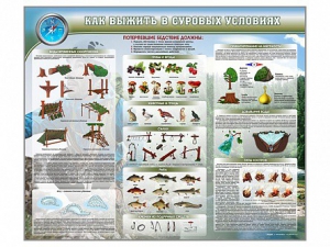 Стенд "Как выжить в суровых условиях" - fgospostavki.ru - Рыбинск