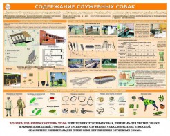 Комплект плакатов "Кинология" - fgospostavki.ru - Рыбинск